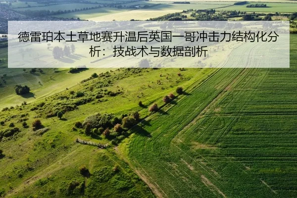 de-lei-po-ben-tu-cao-di-sai-sheng-wen-hou-ying-guo-yi-ge-chong-ji-li-jie-gou-hua-fen-xi-ji-zhan-shu-yu-shu-ju-pou-xi-2-917.jpg